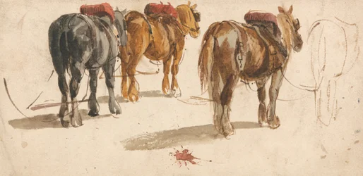 Trois chevaux de trait en harnais